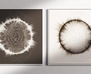 28a5e9140589483.6244586f8cd0e 2