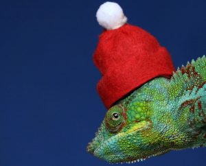 pierre-bamin-4AhZFKQe_kE-unsplash