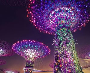 Rectangle 37_batcheditor_fotor