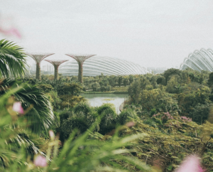 singapore recap cover (1) (1)