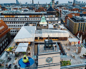 463FF8DD-EE26-4807-9D79-F9C48A9D95A0_1_201_a 1 (1)